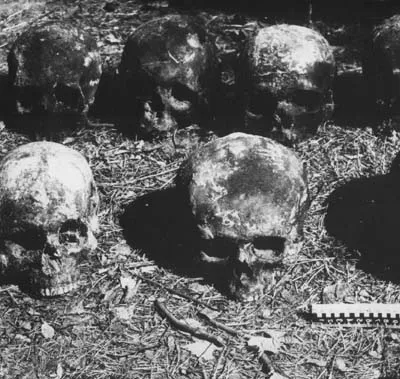 Эксгумацыя