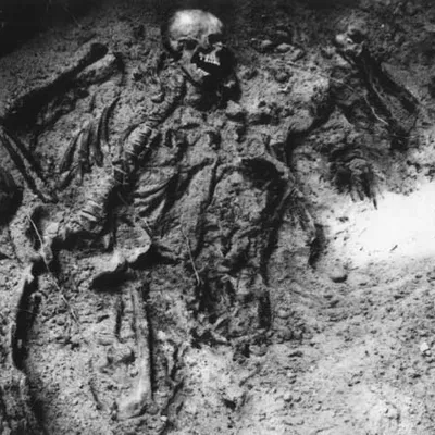 Эксгумацыя