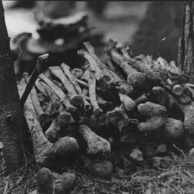 Эксгумацыя