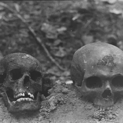 Эксгумацыя