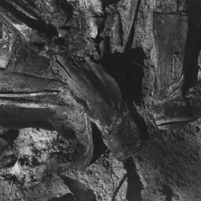 Эксгумацыя