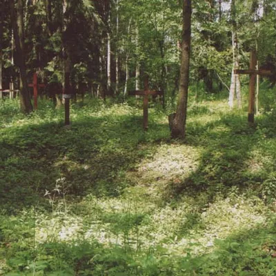 Курапаты, 5 ліпеня 2003