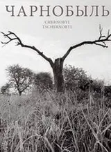 Чарнобыль. Да 20-й гадавіны аварыі на Чарнобыльскай АЭС: Альбом