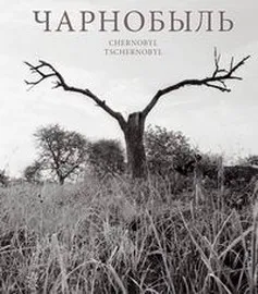 Чарнобыль. Да 20-й гадавіны аварыі на Чарнобыльскай АЭС: Альбом