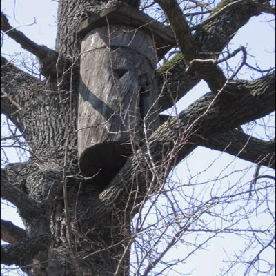 Чарнобыль — здымак 17